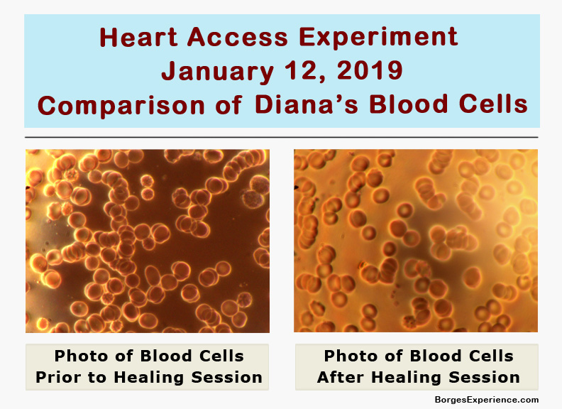 Diana Cell Comparison Image Final 1-12-2019